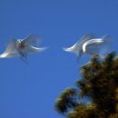 가온누리태권도 이미지