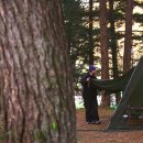 삼촌푸드 | 횡성 불타는삼촌 캠핑장 블루존 후기 | 플랜포티 다이스쉘터