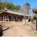 강골마을 아치실댁 이미지