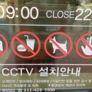 다이소 인천호구포점 이미지