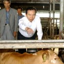 대선축산 이미지