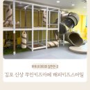 김포 신상 키즈카페 해피키즈스마일 인원 추가 비용 없어 가성비 최고예요