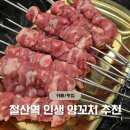 (집)초록마을 광명철산점 | 철산역 맛집 고기집 - 광명 인생 양꼬치 맛집 추천 '양꼬치대장'