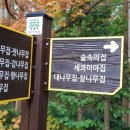 대나무집펜션 이미지