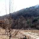 2012년 4월5일 식목일은 나무 심는 날. 이미지