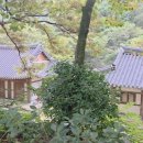 창원 성주사 관음보살입상 | 창원 성주사