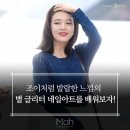 조이네일 이미지