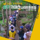 가야산국립공원사무소 | 대구 근교 가족여행 가야산 나이트트레킹 신청방법 꿀팁