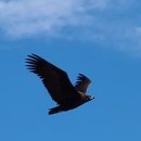 보절면 사촌마을 이미지