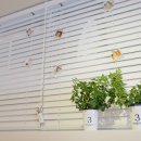 카페우물