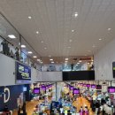 해남광장 | 노량진 수산물도매시장 해남상회/하늘채광장/오군쉬림프 내돈내산후기