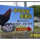 늘푸른유정란농장 이미지