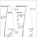 방파제낚시 어종별 채비도 이미지