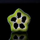 더오크라 이미지