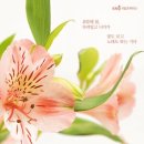 남성회관빌딩 이미지