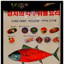 청참치 이미지