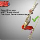 Muscle Attack 이미지