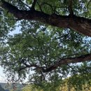 공북낚시터 이미지