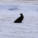 신성리생태공원 이미지