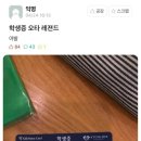 더오타임 이미지