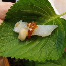 비금도횟집 - 안산시 상록구 본오로 26 | 비금도횟집