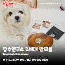 물연구소 | 강아지물그릇 장수연구소 방짜볼 | 세균 번식 차단 항균 살균으로 깨끗한 물