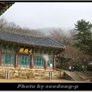 갑사주단 Daum카페