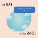 김포부부한의원 | [임신일기] 5~6주차 임신확인서, 김포보건소 임산부 등록, 임산부 기초검사 후기, 임산부 어플추천