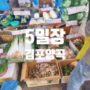 파주금촌양곡