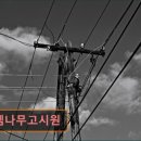 로뎀나무고시원
