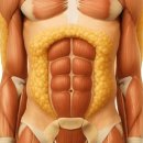 오버탑 휘트니스 가좌점 | [가좌역 헬스장] 설 연휴 후유증은 어떻게 대처해야할까? 급찐급빠는 오버탑휘트니스 가좌점에서!