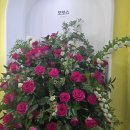 오월의 몽상 이미지