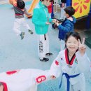 꾸러기태권도 이미지