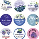 유광농장 네이버블로그