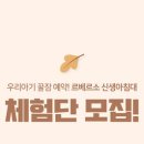 베르소C 네이버블로그