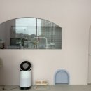 멍발란스 이미지