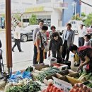 신태인읍사무소 이미지