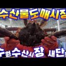 수원-0585 이미지
