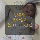 5월 육아일기/제주도여행,문화센터,첫이유식 먹기