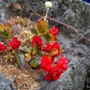 가좌민박 이미지