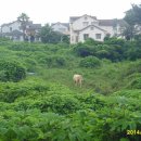 바다별장 이미지