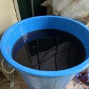 매일2농장 이미지