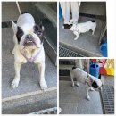 늘푸른빨래방 이미지