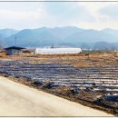 전망이있는곳 이미지