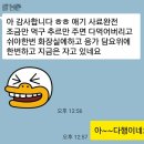 캣돌 캐터리 | &lt; 부산 고양이분양&gt; 스코티쉬폴드 캣츠홀릭 분양후기