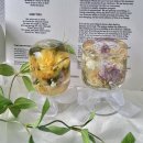 도숙 | 천연비누 원데이클래스, 클리어스마일라식 한달후기, 크레스티드게코도마뱀 소개, 대구 경주 황리단길...