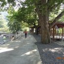 평리 마을회관 이미지