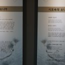 솔향공원 소나무전시관 이미지