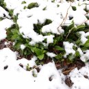 호랭이농장 이미지