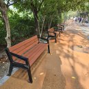한가람한양아파트 308동 건너편 오픈스쿨 앞 | [20240908]안양 학의천변 학운공원 C구역을 소개합니다